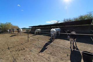 Chalet en venta en Almenara