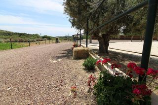 Chalet en venta en Almenara