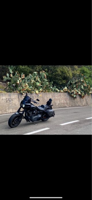 Maletas Harley Davidson Originales Para Dyna