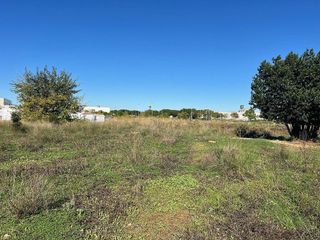 Terreno en venta en El Vedat - Santa Apolonia en Torrent