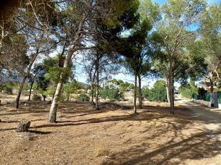 Terreno en venta en Totana