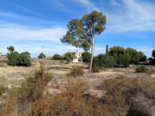 Terreno en venta en Totana