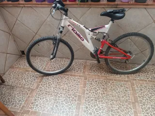 Bicicleta MTB Fiamo Extreme FS