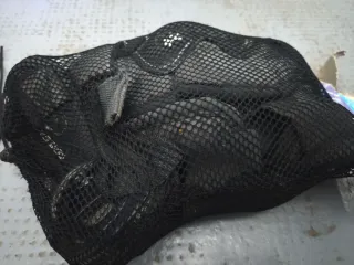 Patines en línea HY SKATE con protectores