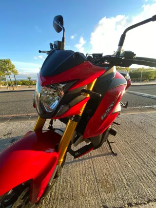 Suzuki GSX-S750 (2017) - 17.996 km