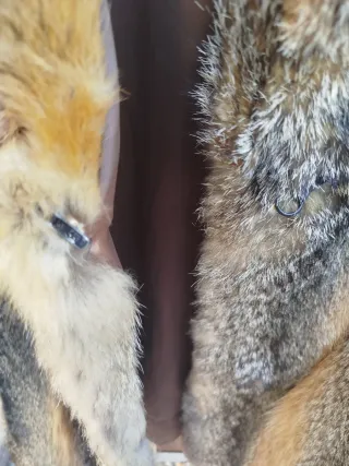 Abrigo Piel Zorro Rojo Virginia DASCO