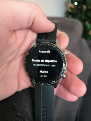 Smartwatch Huawei Negro/Plateado