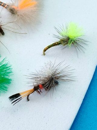Moscas secas para pesca