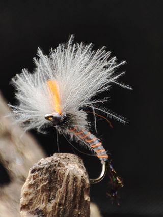 Moscas secas para pesca