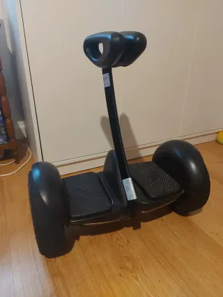 Ninebot S Vehículo Eléctrico (tipo dareway)