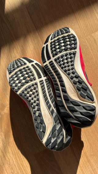 Zapatillas Nike Air Pegasus 39 Flyease Talla 43