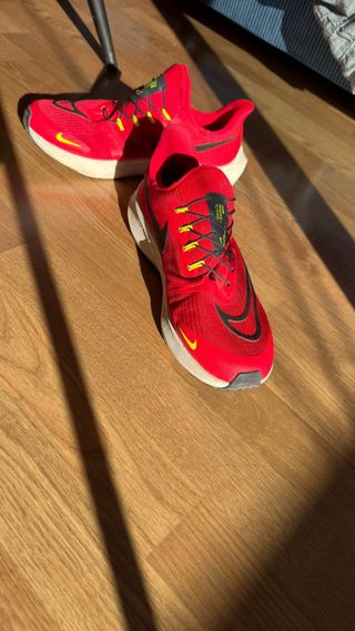 Zapatillas Nike Air Pegasus 39 Flyease Talla 43