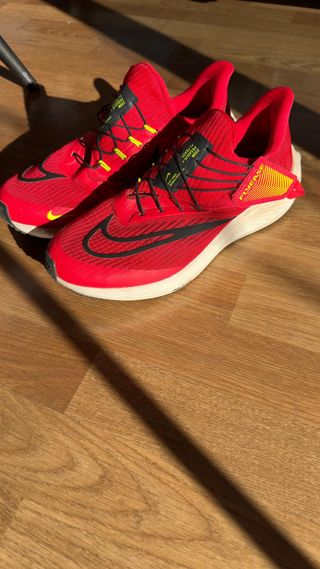 Zapatillas Nike Air Pegasus 39 Flyease Talla 43