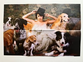 Norah Jones The Fall CD