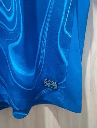 Camiseta Chelsea 24/25 Palmer Premier League