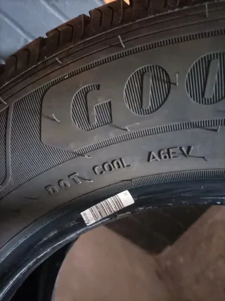 4 Neumáticos Goodyear EfficientGrip Cargo