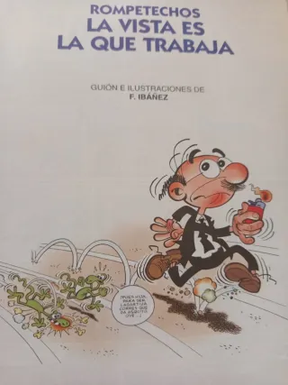 Rompetechos. La vista es la que trabaja