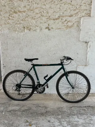 Bicicleta de montaña verde