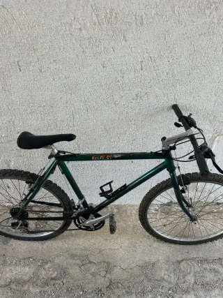 Bicicleta de montaña verde
