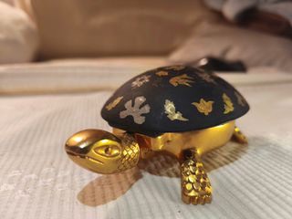 Tortuga llamador eibar