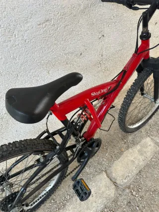 Bicicleta Skyline Roja