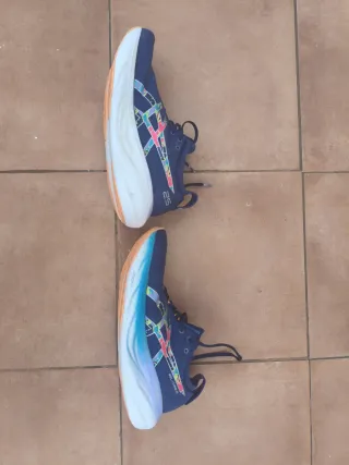 Asics Gel Nimbus 25 Talla 44