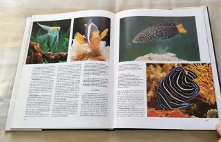 Historia natural: vertebrados reptiles, peces..