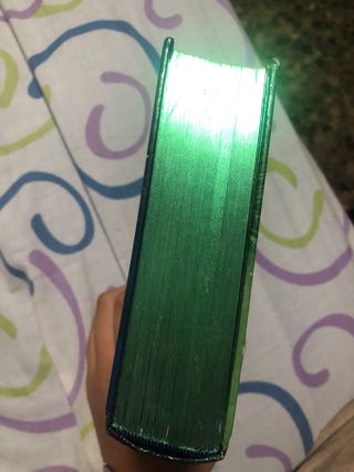 geronimo stilton reino de la fantasia