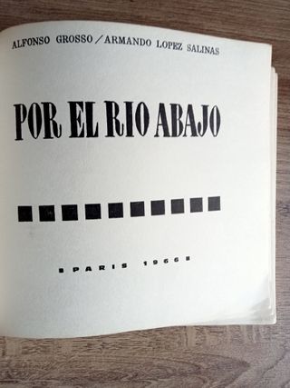 POR EL RIO ABAJO