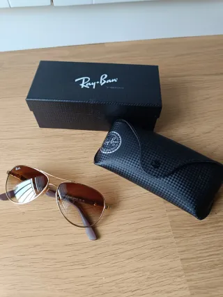 Gafas de Sol Ray-Ban 8313 Colección