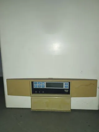 Caldera Gas Roca R-15/20 Mural