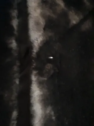 Abrigo de pelo negro