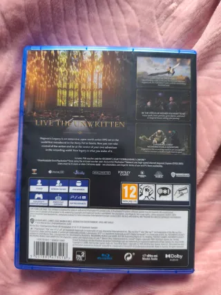 Hogwarts Legacy PS4 (PlayStation 4)