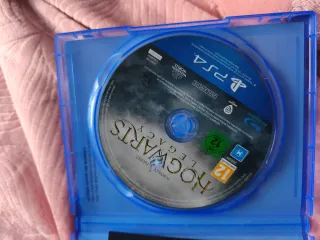 Hogwarts Legacy PS4 (PlayStation 4)