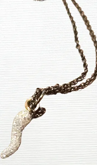 Girocollo Giorà , catena argento 925 + char