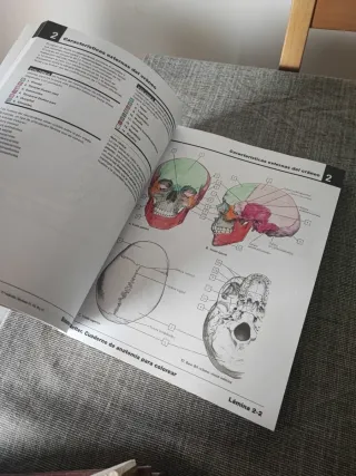 Netter Cuaderno de anatomía para colorear (2ª ed.)