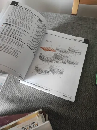 Netter Cuaderno de anatomía para colorear (2ª ed.)