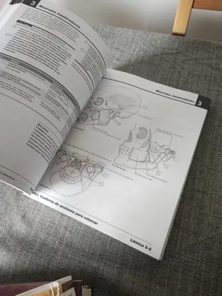 Netter Cuaderno de anatomía para colorear (2ª ed.)