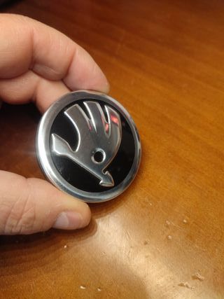 Insignia Logo Skoda