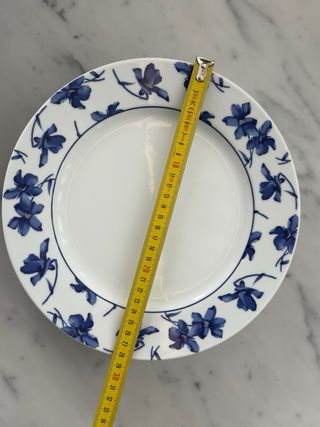 Vajilla Vista Alegre Flores Azules