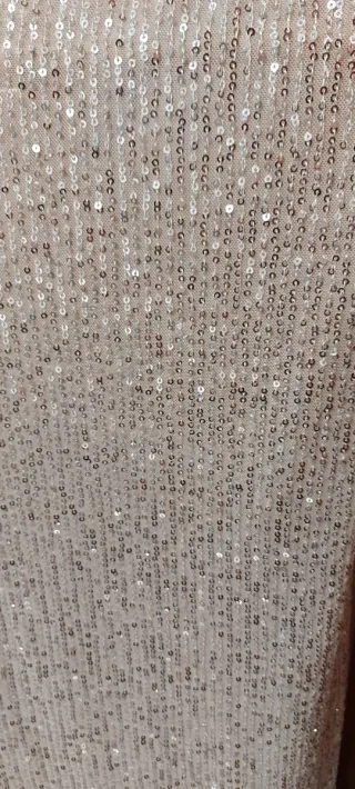 Vestido lentejuelas plateado