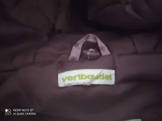 Casaco infantil estampado