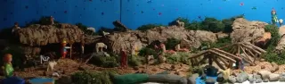 Pesebre / Belén Navideño