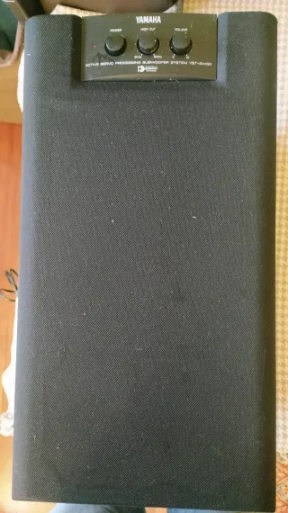 Altavoz Subwoofer Negro