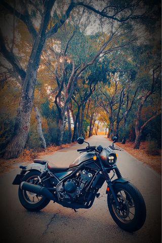 Honda Rebel 500cc Edición Especial 2024