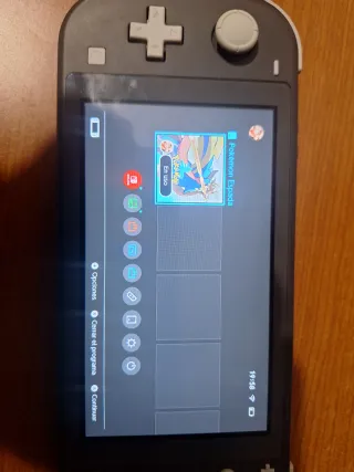 Nintendo Switch Lite Grigio + Custodia