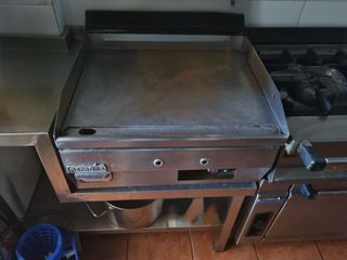Plancha industrial Repagas