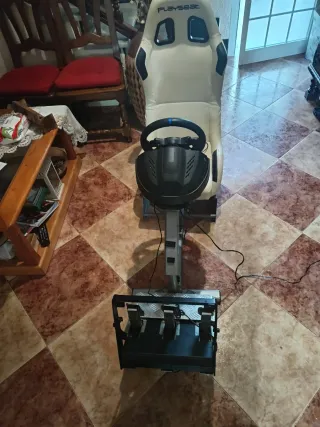 Playseat Silla Gaming con Volante y Pedales