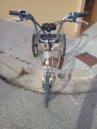 Triciclo Eléctrico Monty