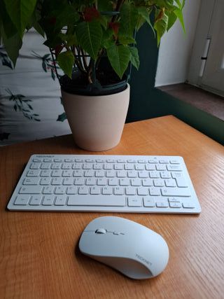 Mini tastiera e mouse wireless Tecknet